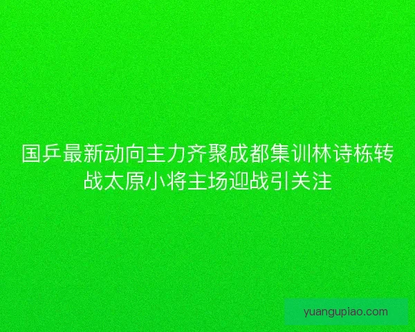 国乒最新动向主力齐聚成都集训林诗栋转战太原小将主场迎战引关注