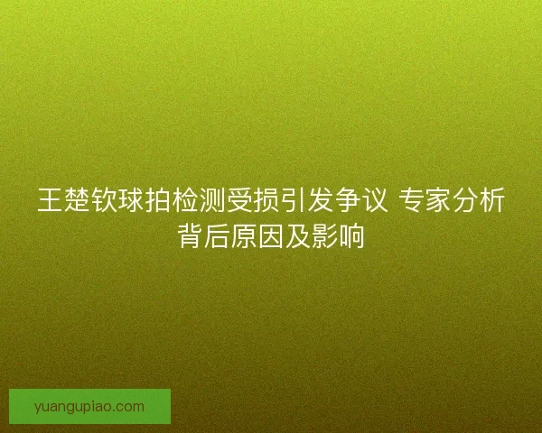 王楚钦球拍检测受损引发争议 专家分析背后原因及影响 王楚钦球拍检测受损引发争议 专家分析背后原因及影响